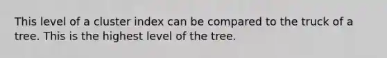 This level of a cluster index can be compared to the truck of a tree. This is the highest level of the tree.