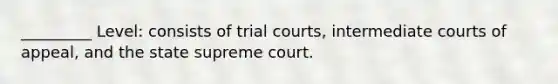 _________ Level: consists of trial courts, intermediate courts of appeal, and the state supreme court.