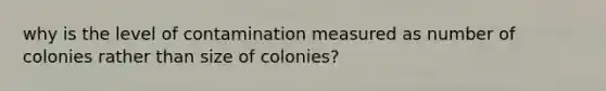 why is the level of contamination measured as number of colonies rather than size of colonies?