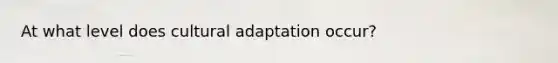 At what level does cultural adaptation occur?