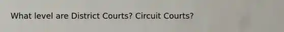 What level are District Courts? Circuit Courts?