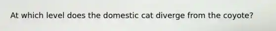 At which level does the domestic cat diverge from the coyote?