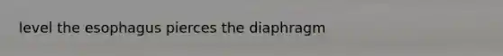 level the esophagus pierces the diaphragm