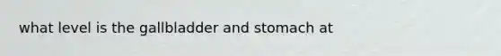 what level is the gallbladder and stomach at