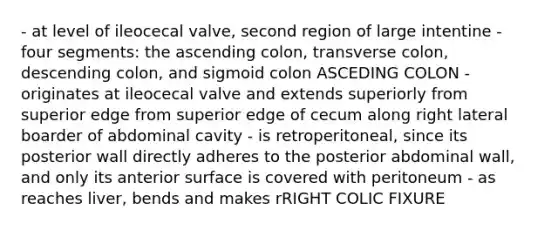 - at level of ileocecal valve, second region of large intentine - four segments: the ascending colon, transverse colon, descending colon, and sigmoid colon ASCEDING COLON - originates at ileocecal valve and extends superiorly from superior edge from superior edge of cecum along right lateral boarder of abdominal cavity - is retroperitoneal, since its posterior wall directly adheres to the posterior abdominal wall, and only its anterior surface is covered with peritoneum - as reaches liver, bends and makes rRIGHT COLIC FIXURE