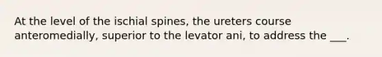 At the level of the ischial spines, the ureters course anteromedially, superior to the levator ani, to address the ___.