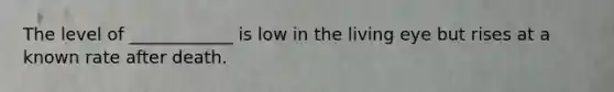 The level of ____________ is low in the living eye but rises at a known rate after death.