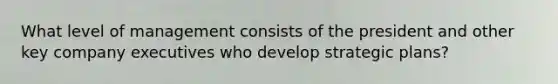 What level of management consists of the president and other key company executives who develop strategic plans?