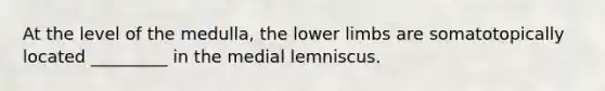 At the level of the medulla, the lower limbs are somatotopically located _________ in the medial lemniscus.