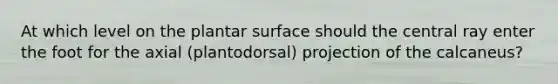 At which level on the plantar surface should the central ray enter the foot for the axial (plantodorsal) projection of the calcaneus?