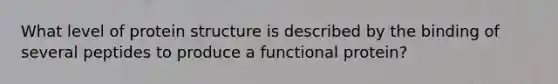 What level of protein structure is described by the binding of several peptides to produce a functional protein?