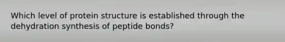 Which level of protein structure is established through the dehydration synthesis of peptide bonds?