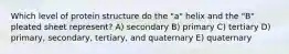 Which level of protein structure do the "a" helix and the "B" pleated sheet represent? A) secondary B) primary C) tertiary D) primary, secondary, tertiary, and quaternary E) quaternary