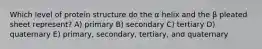 Which level of protein structure do the α helix and the β pleated sheet represent? A) primary B) secondary C) tertiary D) quaternary E) primary, secondary, tertiary, and quaternary