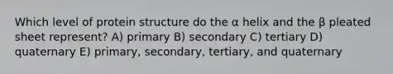 Which level of protein structure do the α helix and the β pleated sheet represent? A) primary B) secondary C) tertiary D) quaternary E) primary, secondary, tertiary, and quaternary