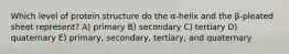 Which level of protein structure do the α-helix and the β-pleated sheet represent? A) primary B) secondary C) tertiary D) quaternary E) primary, secondary, tertiary, and quaternary