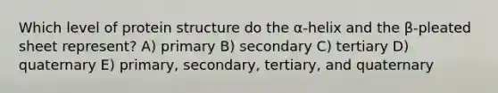 Which level of protein structure do the α-helix and the β-pleated sheet represent? A) primary B) secondary C) tertiary D) quaternary E) primary, secondary, tertiary, and quaternary