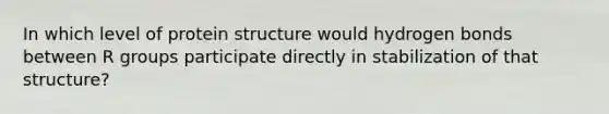 In which level of protein structure would hydrogen bonds between R groups participate directly in stabilization of that structure?