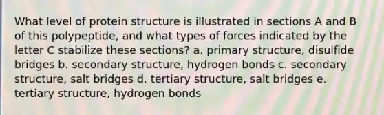 What level of protein structure is illustrated in sections A and B of this polypeptide, and what types of forces indicated by the letter C stabilize these sections? a. primary structure, disulfide bridges b. secondary structure, hydrogen bonds c. secondary structure, salt bridges d. tertiary structure, salt bridges e. tertiary structure, hydrogen bonds