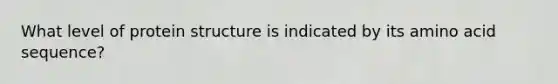 What level of protein structure is indicated by its amino acid sequence?