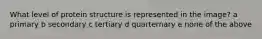 What level of protein structure is represented in the image? a primary b secondary c tertiary d quarternary e none of the above