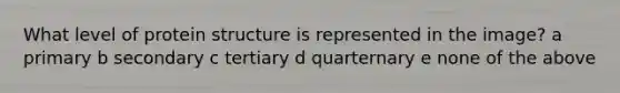 What level of protein structure is represented in the image? a primary b secondary c tertiary d quarternary e none of the above