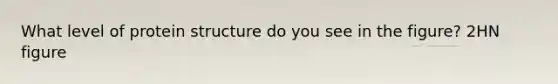 What level of protein structure do you see in the figure? 2HN figure