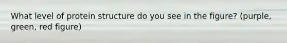 What level of protein structure do you see in the figure? (purple, green, red figure)