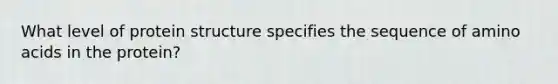 What level of protein structure specifies the sequence of amino acids in the protein?