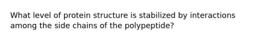 What level of protein structure is stabilized by interactions among the side chains of the polypeptide?