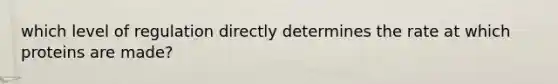 which level of regulation directly determines the rate at which proteins are made?