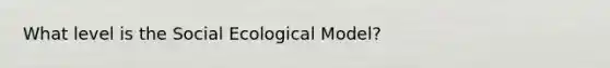 What level is the Social Ecological Model?