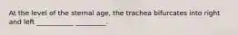 At the level of the sternal age, the trachea bifurcates into right and left ___________ _________.