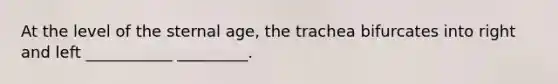 At the level of the sternal age, the trachea bifurcates into right and left ___________ _________.