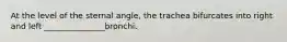 At the level of the sternal angle, the trachea bifurcates into right and left _______________bronchi.