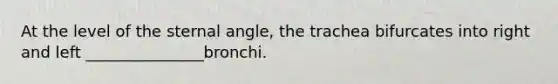 At the level of the sternal angle, the trachea bifurcates into right and left _______________bronchi.