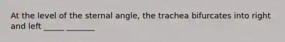 At the level of the sternal angle, the trachea bifurcates into right and left _____ _______