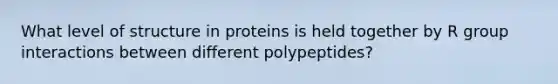 What level of structure in proteins is held together by R group interactions between different polypeptides?