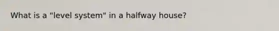 What is a "level system" in a halfway house?