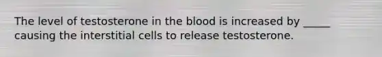 The level of testosterone in <a href='https://www.questionai.com/knowledge/k7oXMfj7lk-the-blood' class='anchor-knowledge'>the blood</a> is increased by _____ causing the interstitial cells to release testosterone.