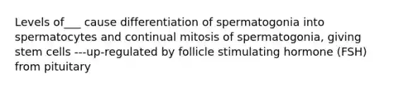 Levels of___ cause differentiation of spermatogonia into spermatocytes and continual mitosis of spermatogonia, giving stem cells ---up-regulated by follicle stimulating hormone (FSH) from pituitary