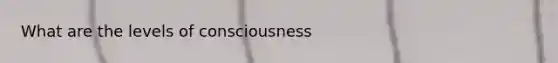 What are the levels of consciousness