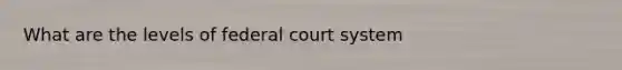 What are the levels of federal court system