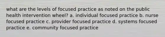 what are the levels of focused practice as noted on the public health intervention wheel? a. individual focused practice b. nurse focused practice c. provider focused practice d. systems focused practice e. community focused practice