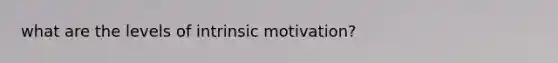 what are the levels of intrinsic motivation?