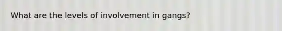 What are the levels of involvement in gangs?