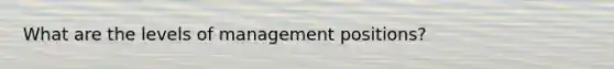 What are the levels of management positions?