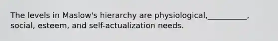 The levels in Maslow's hierarchy are physiological,__________, social, esteem, and self-actualization needs.