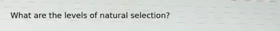 What are the levels of natural selection?