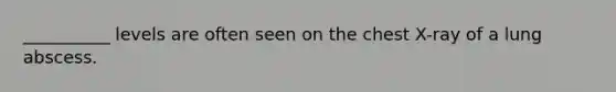 __________ levels are often seen on the chest X-ray of a lung abscess.